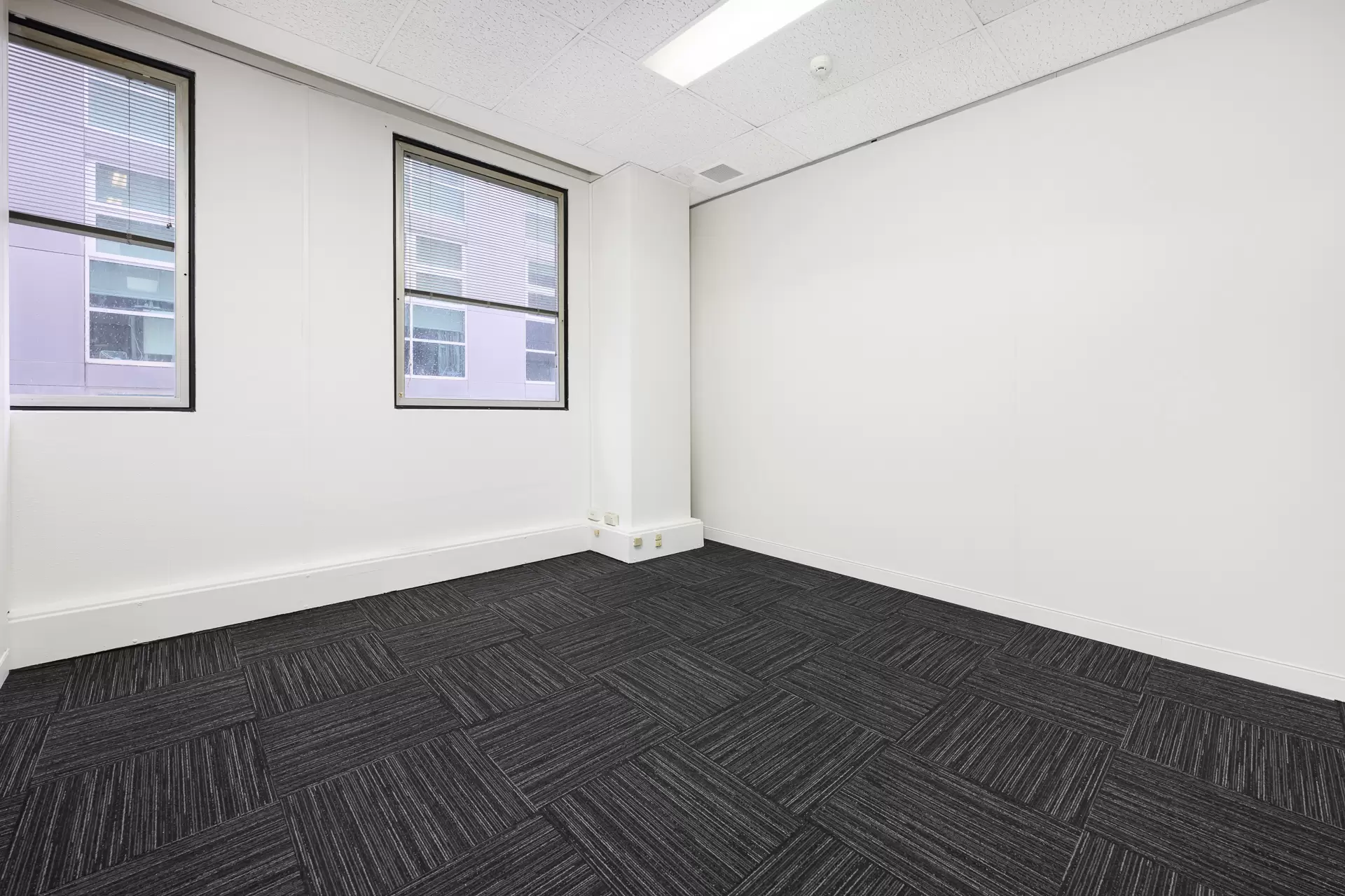 51-53 Walker Street, North Sydney For Lease by Shead Property - image 1