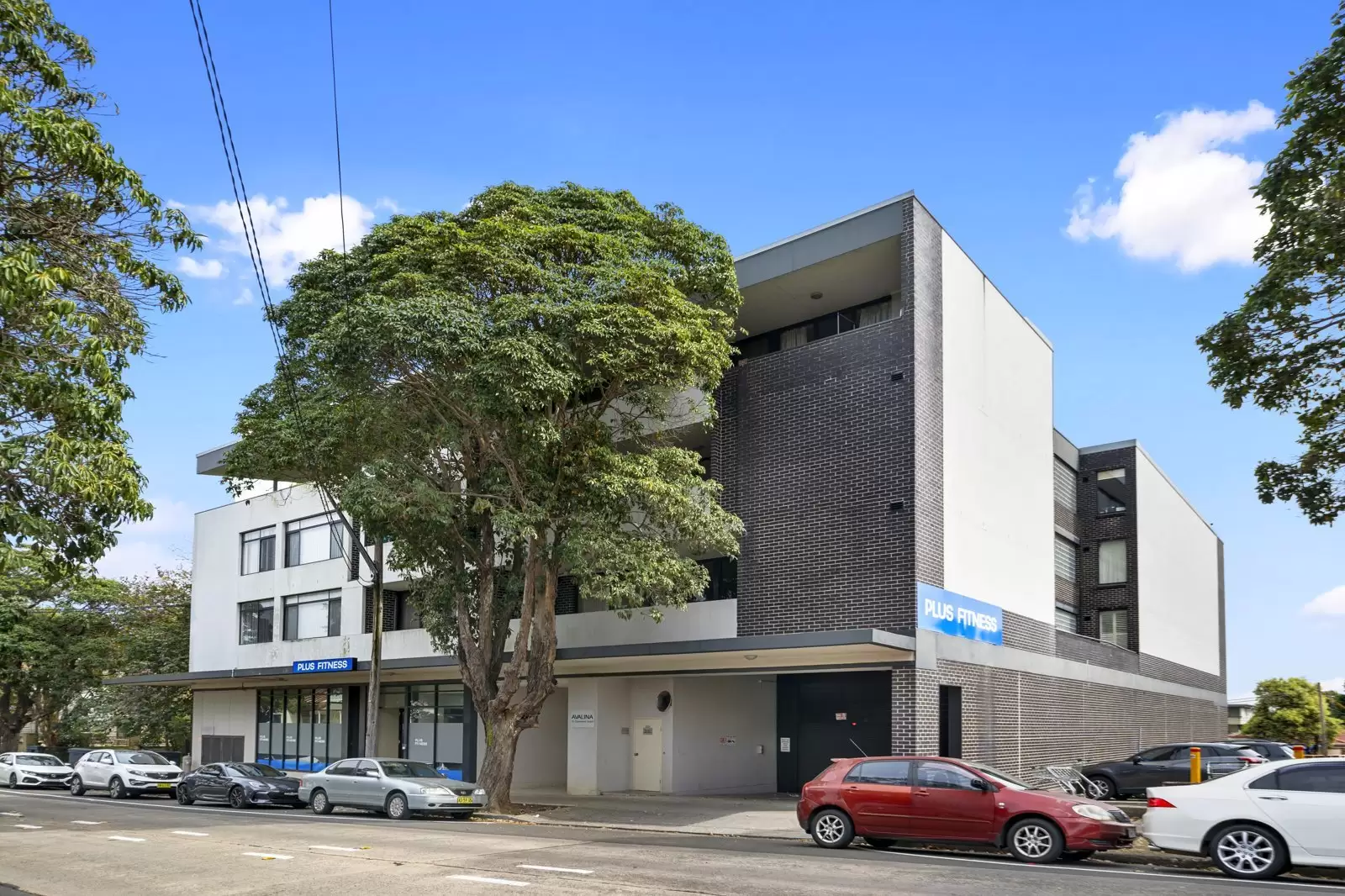 5/19 Claremont Street, Campsie Auction by Shead Property - image 1