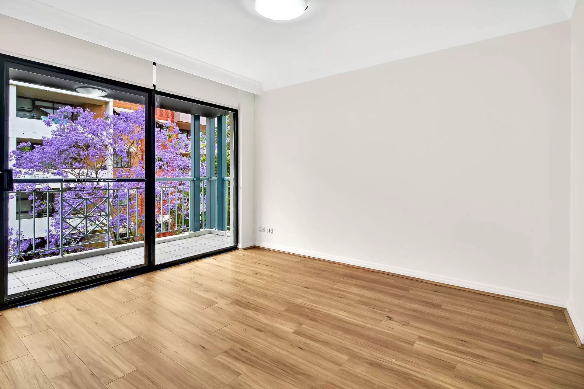 Chatswood Leased by Shead Property - image 1