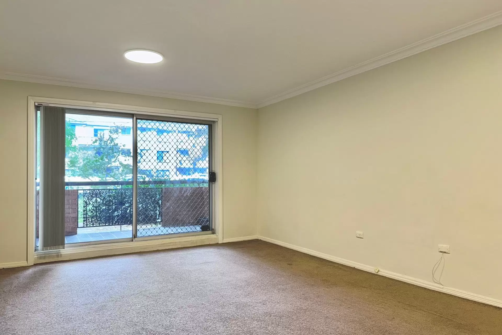 3/6 Jersey Road, Artarmon For Lease by Shead Property - image 1