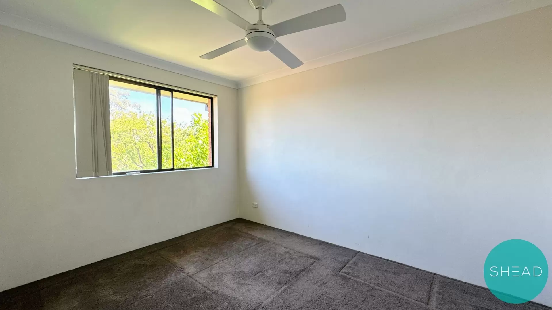 14/9 Broughton Road, Artarmon For Lease by Shead Property - image 1