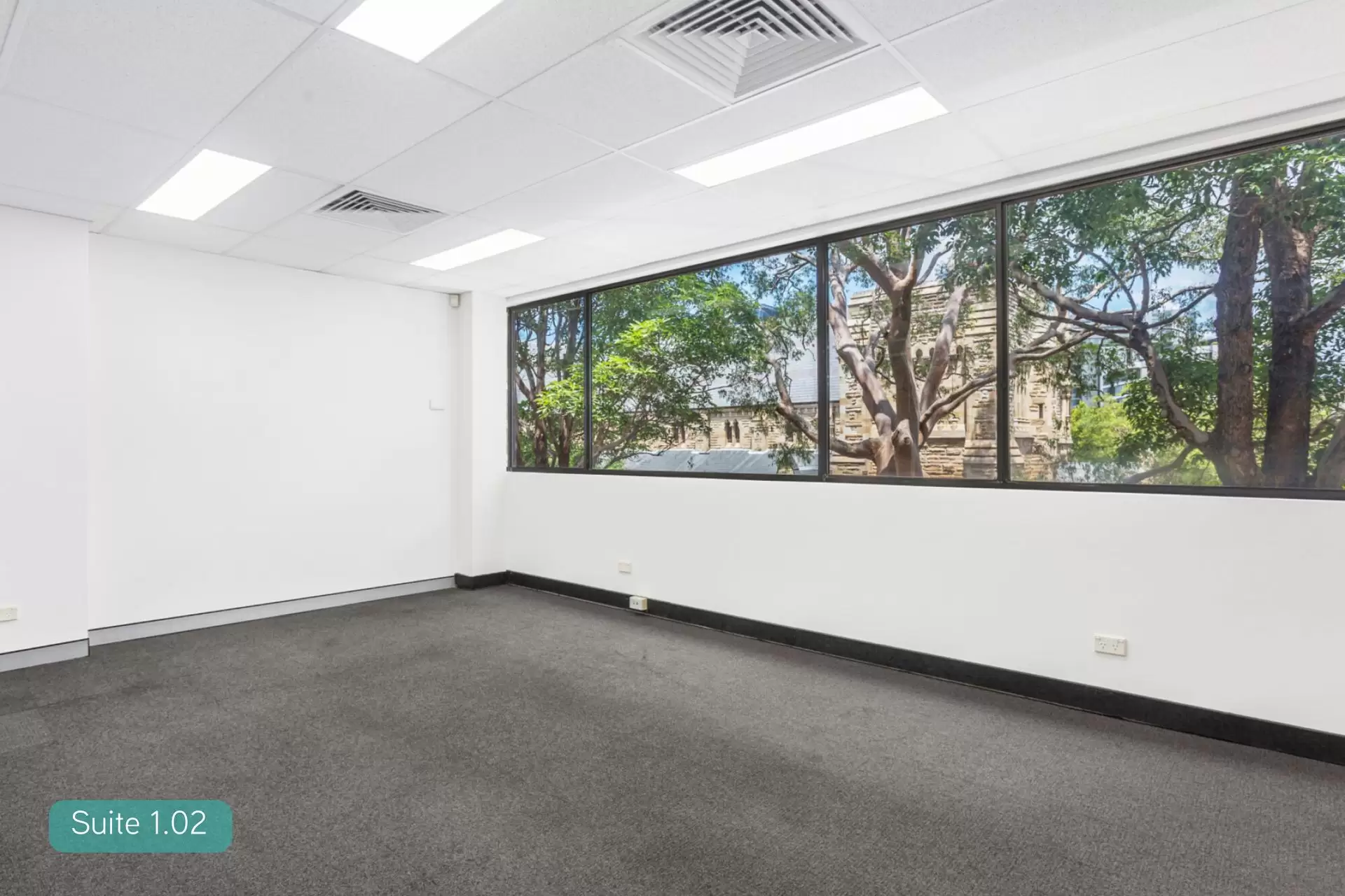 Suites/3-5 West Street, North Sydney For Lease by Shead Property - image 1