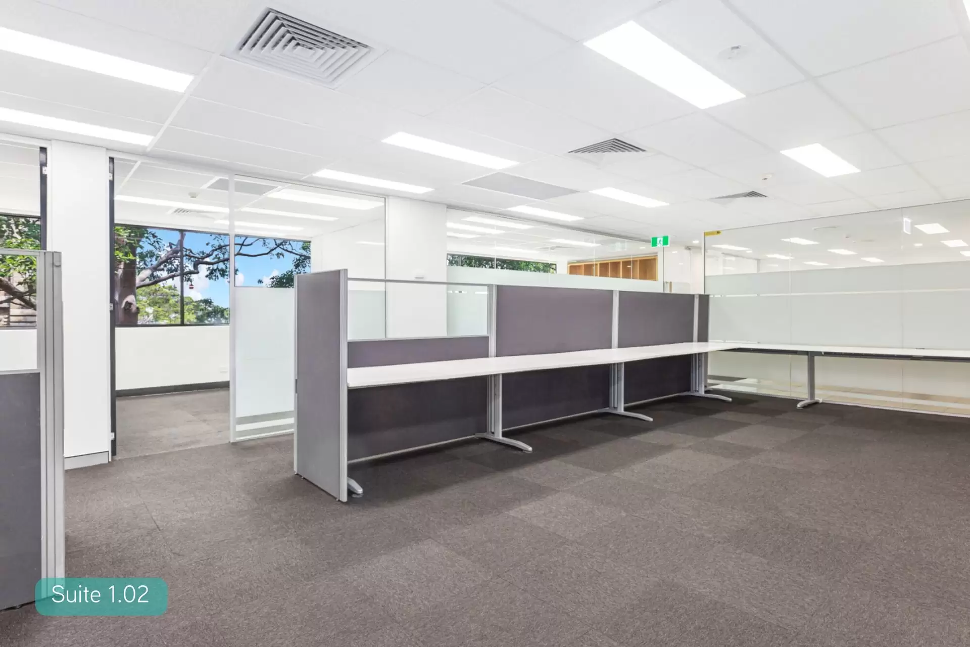 Suites/3-5 West Street, North Sydney For Lease by Shead Property - image 1