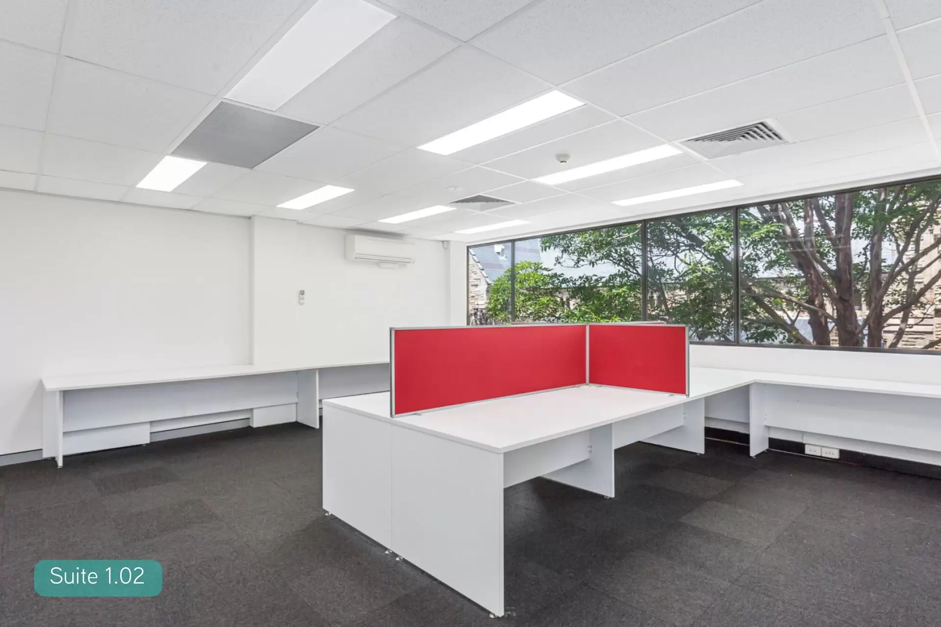 Suites/3-5 West Street, North Sydney For Lease by Shead Property - image 1