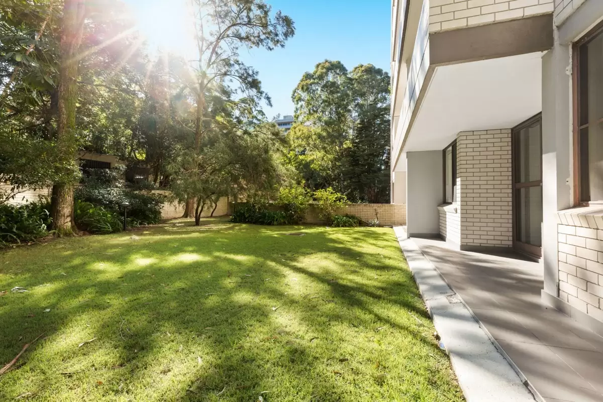 3/7 Jersey Road, Artarmon For Lease by Shead Property - image 1