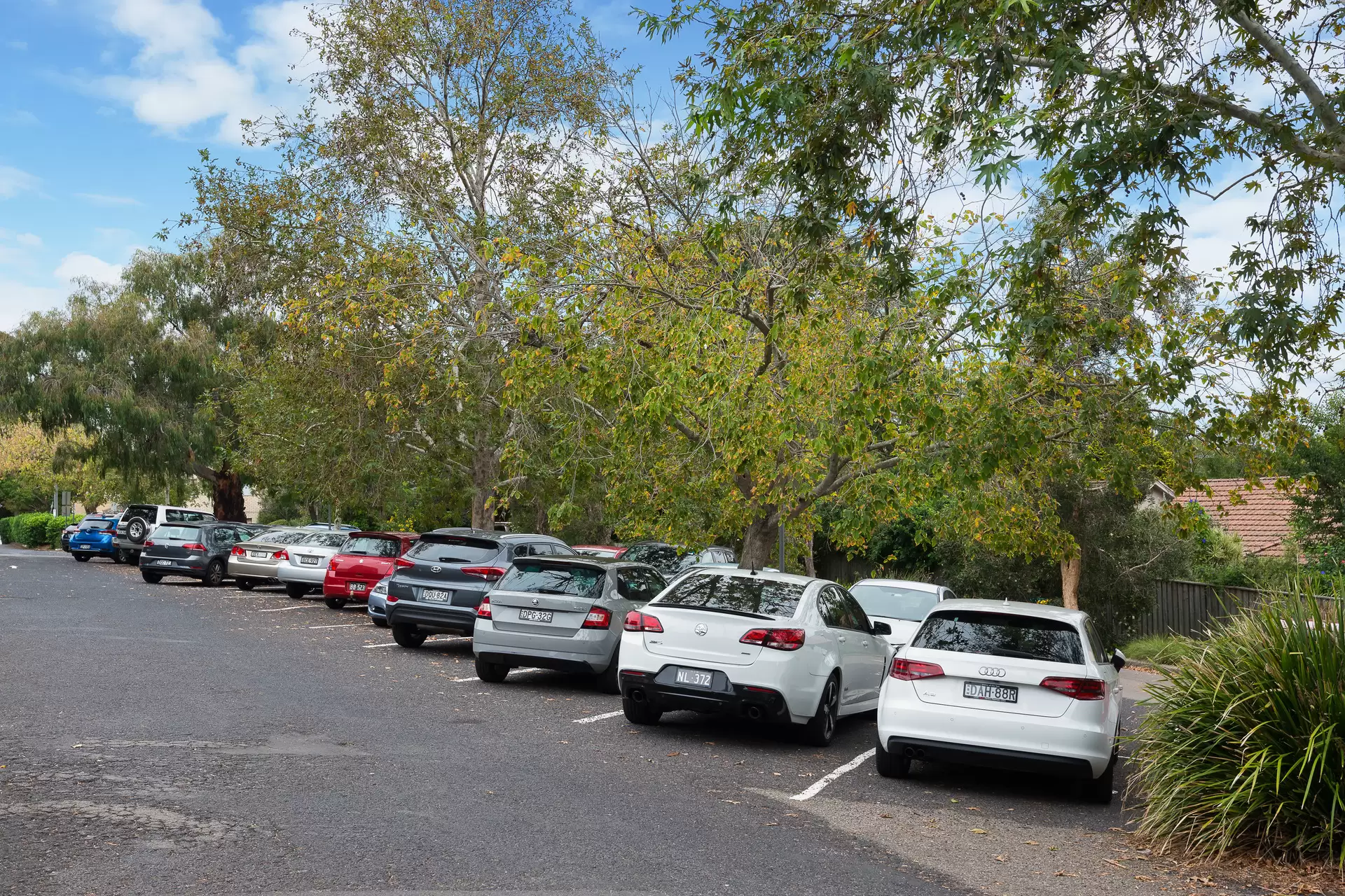 Level 1/98 Pacific Highway, Roseville For Lease by Shead Property - image 1