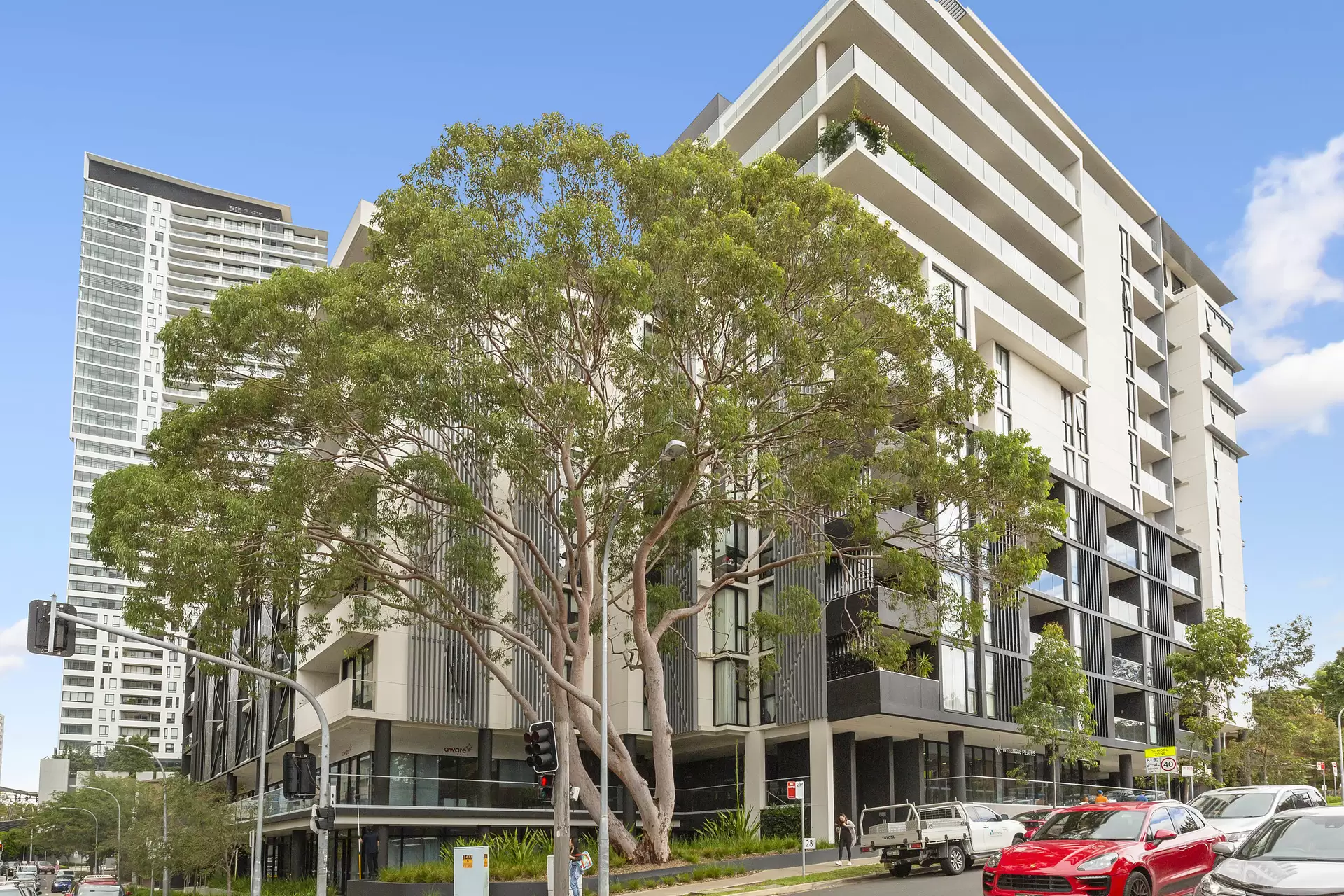 527/28 Anderson Street, Chatswood For Lease by Shead Property - image 1