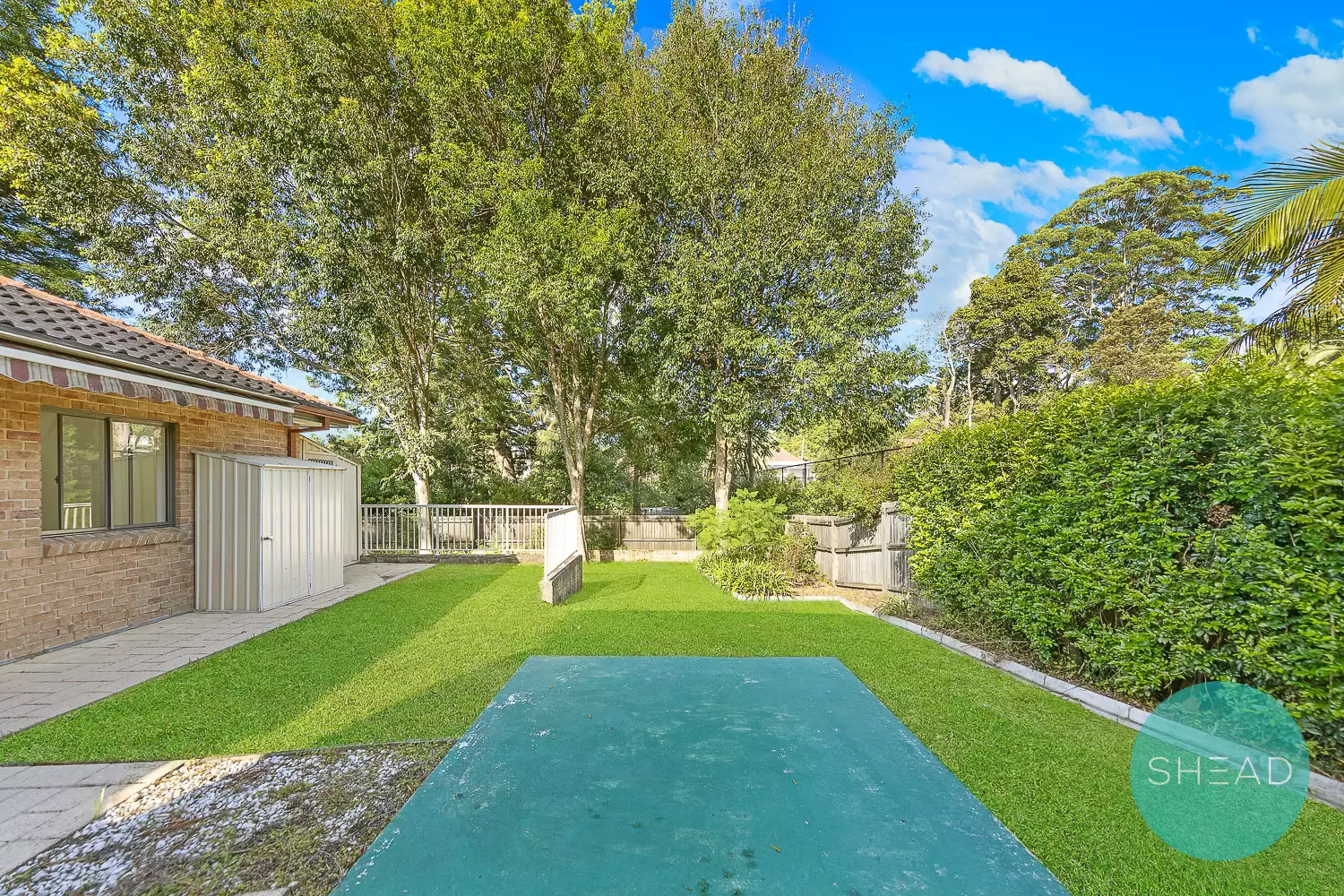 17 Strickland Avenue, Lindfield For Lease by Shead Property - image 1