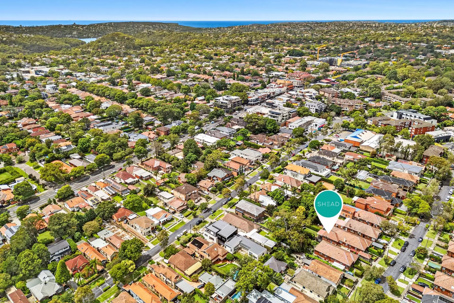 19 Crick Street, Chatswood Auction by Shead Property - image 1