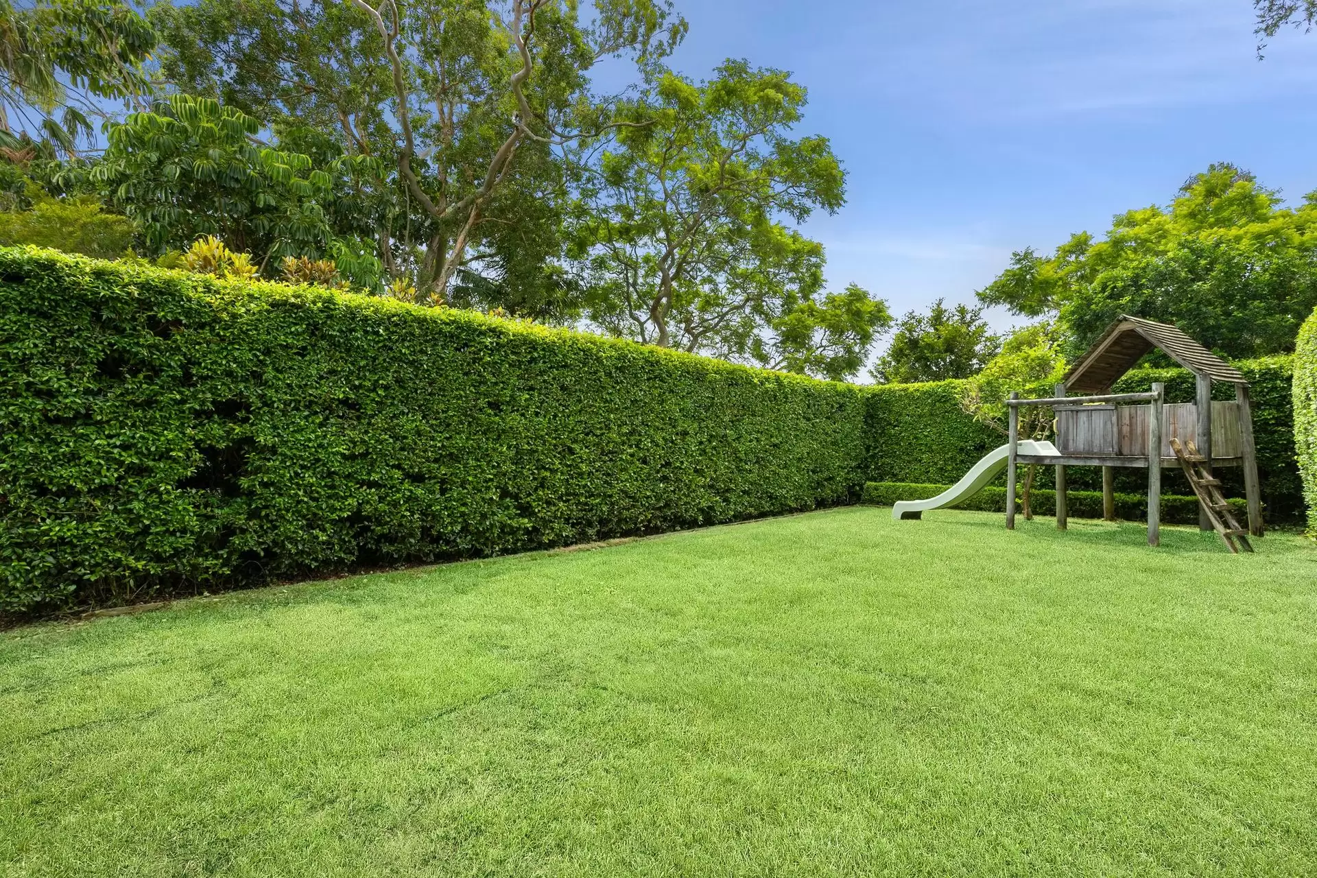 19 Crick Street, Chatswood Auction by Shead Property - image 1