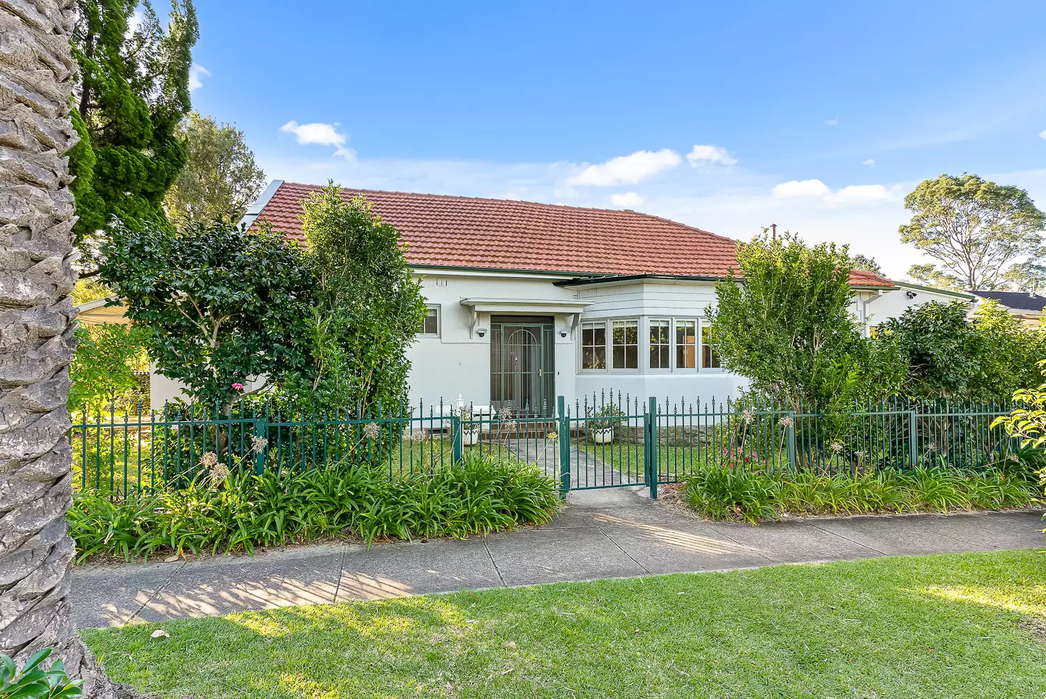 51 Darling Street, Roseville For Lease by Shead Property - image 1