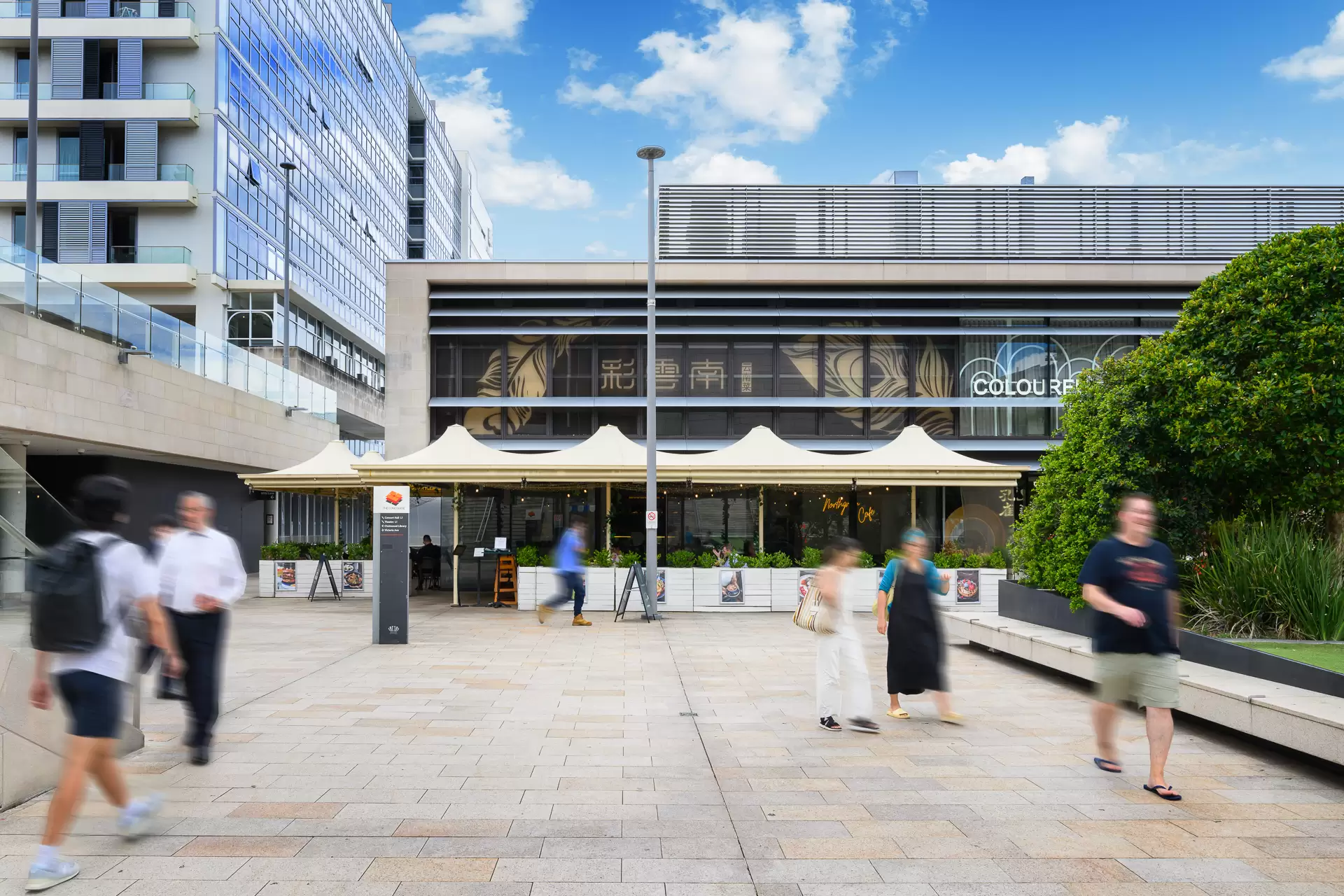 Shop 3/409 Victoria Avenue, Chatswood For Lease by Shead Property - image 1