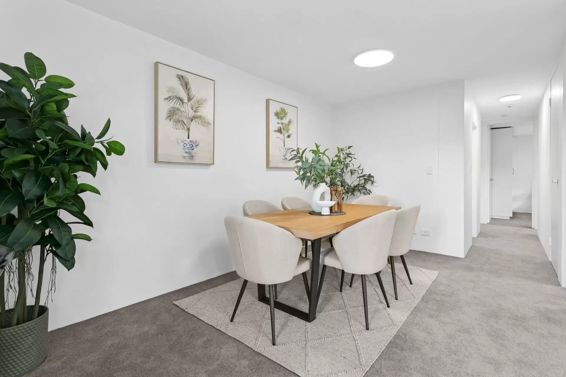 8/4 Munro Street, McMahons Point Auction by Shead Property - image 1