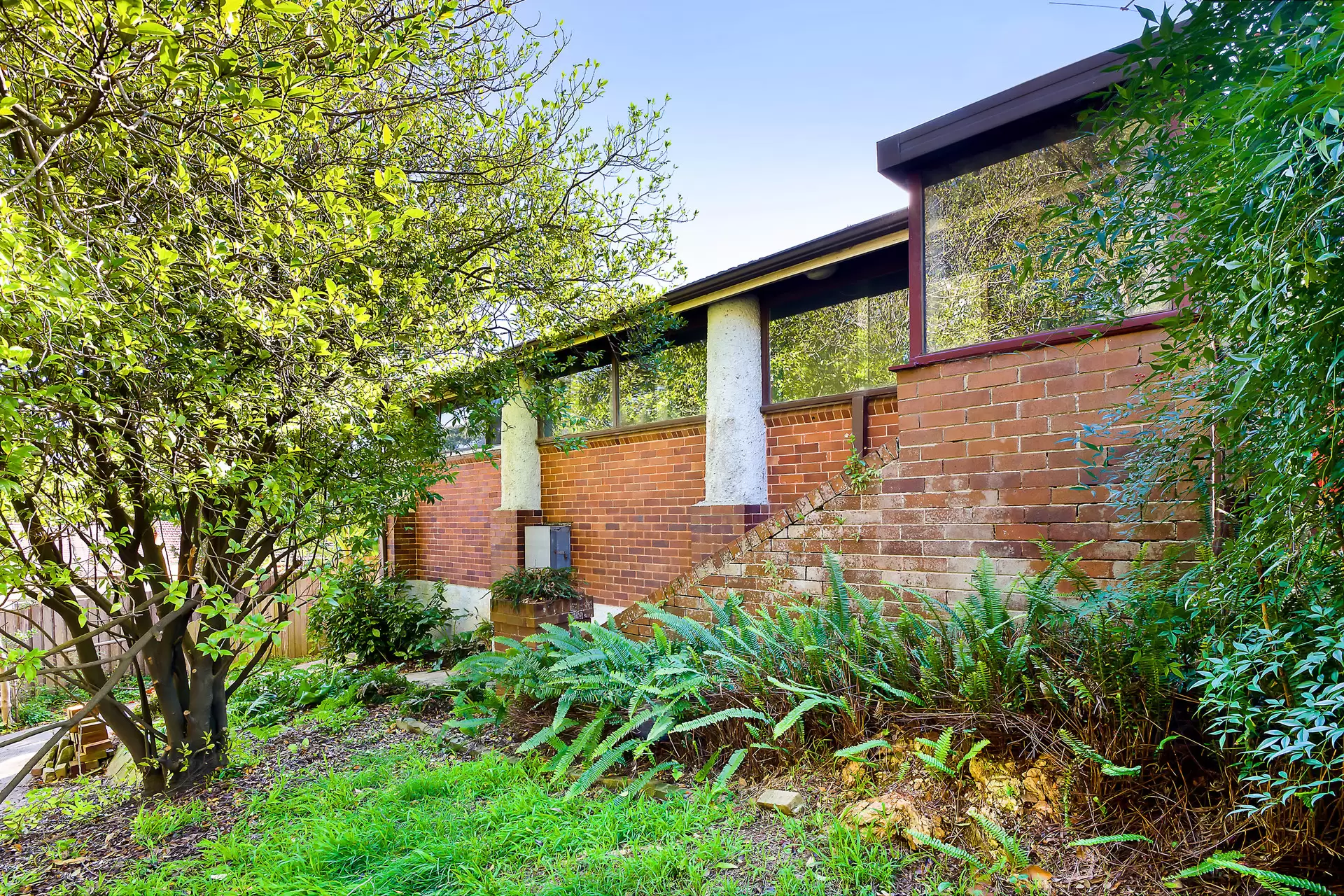 17 Ivy Street, Chatswood For Lease by Shead Property - image 1