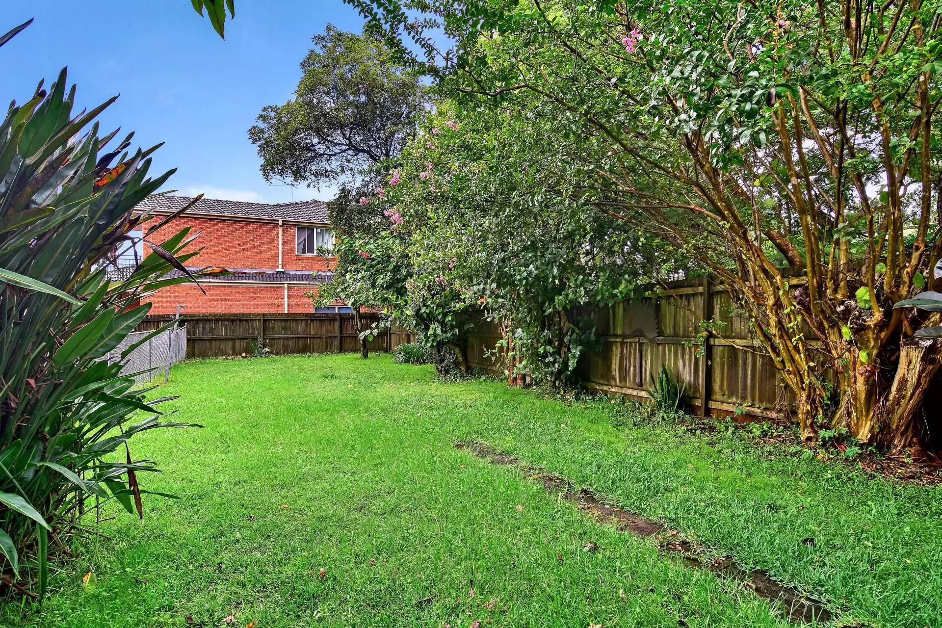 245 Victoria Avenue, Chatswood For Lease by Shead Property - image 1