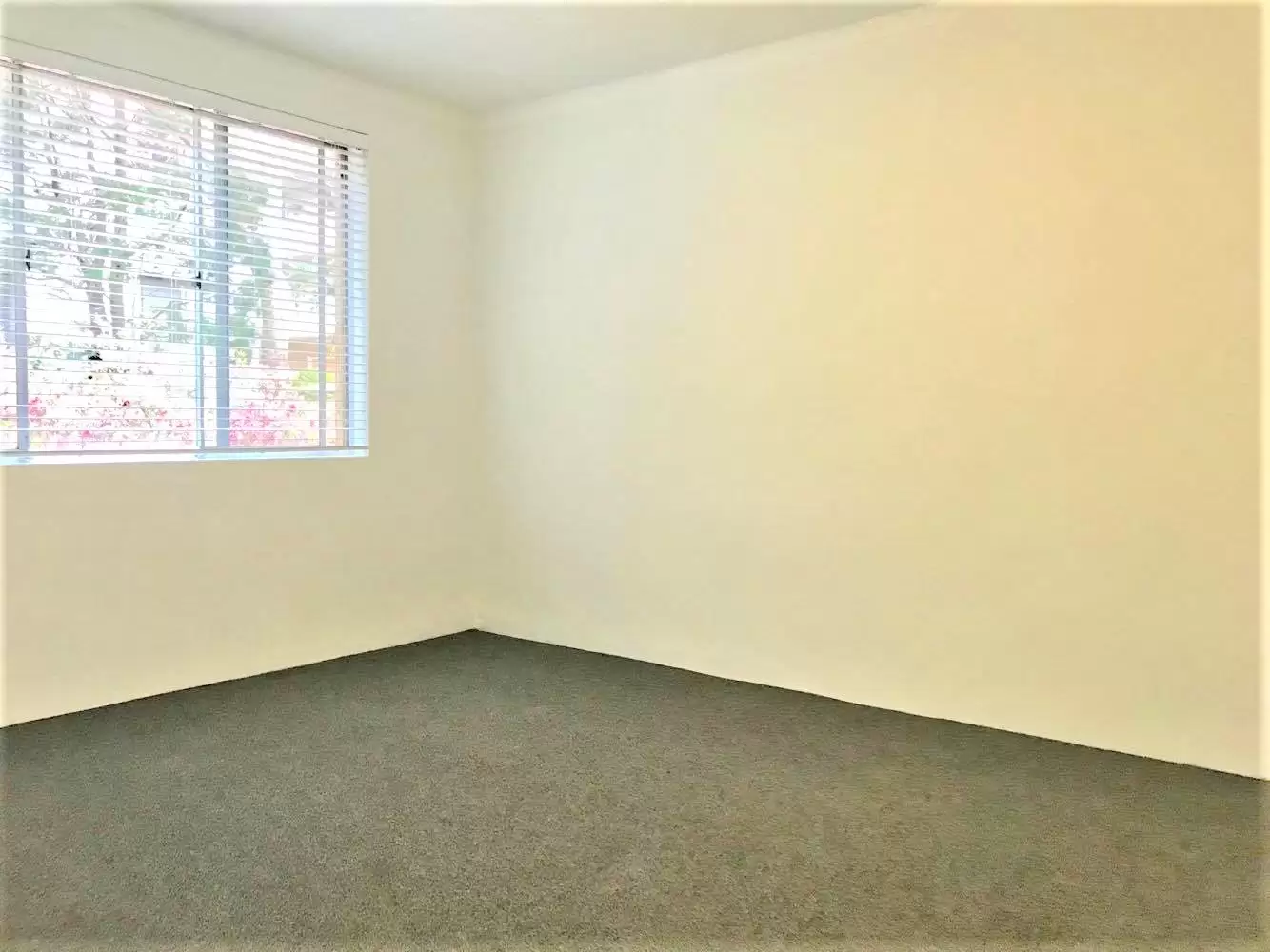 Lane Cove Leased by Shead Property - image 1