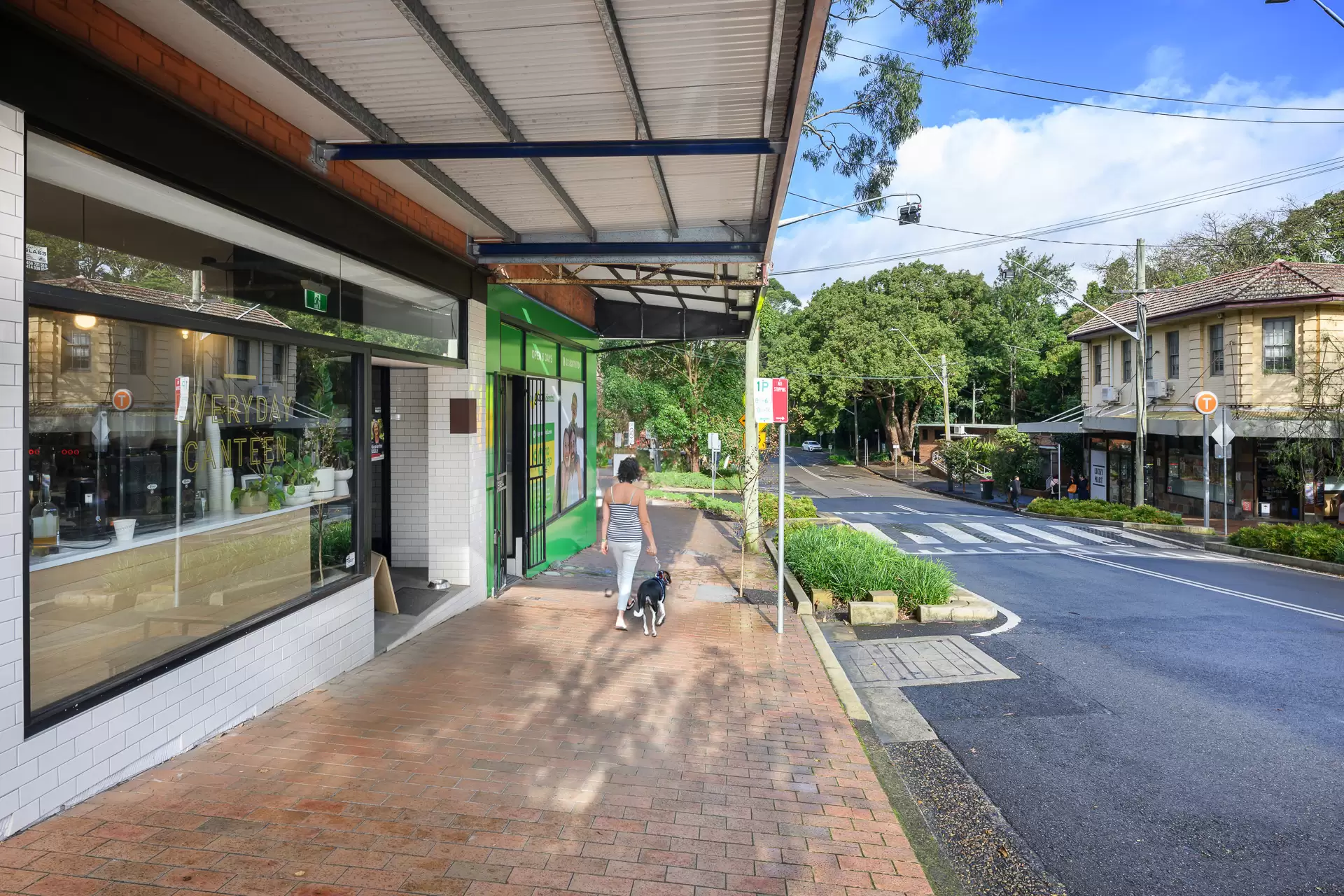 11 Elizabeth Street, Artarmon Auction by Shead Property - image 1