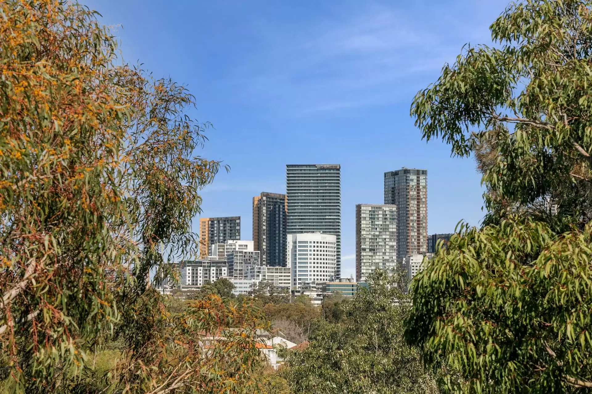 17 Small Street, Willoughby Sold by Shead Property - image 1