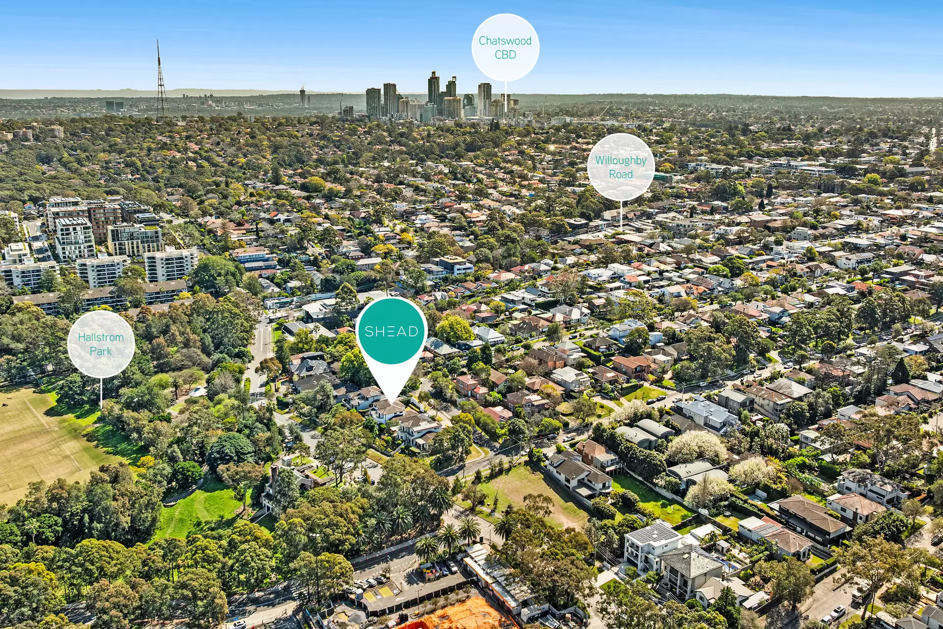 17 Small Street, Willoughby Sold by Shead Property - image 1