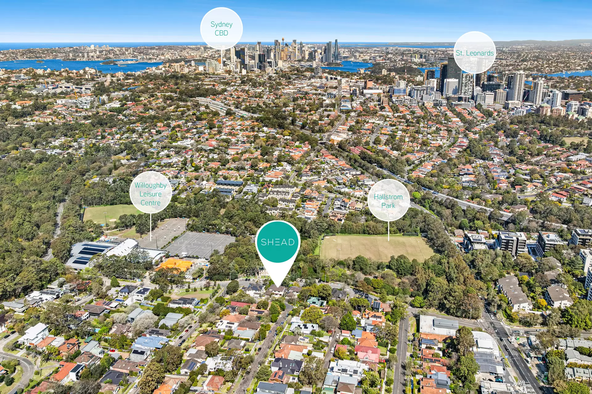 17 Small Street, Willoughby Sold by Shead Property - image 1