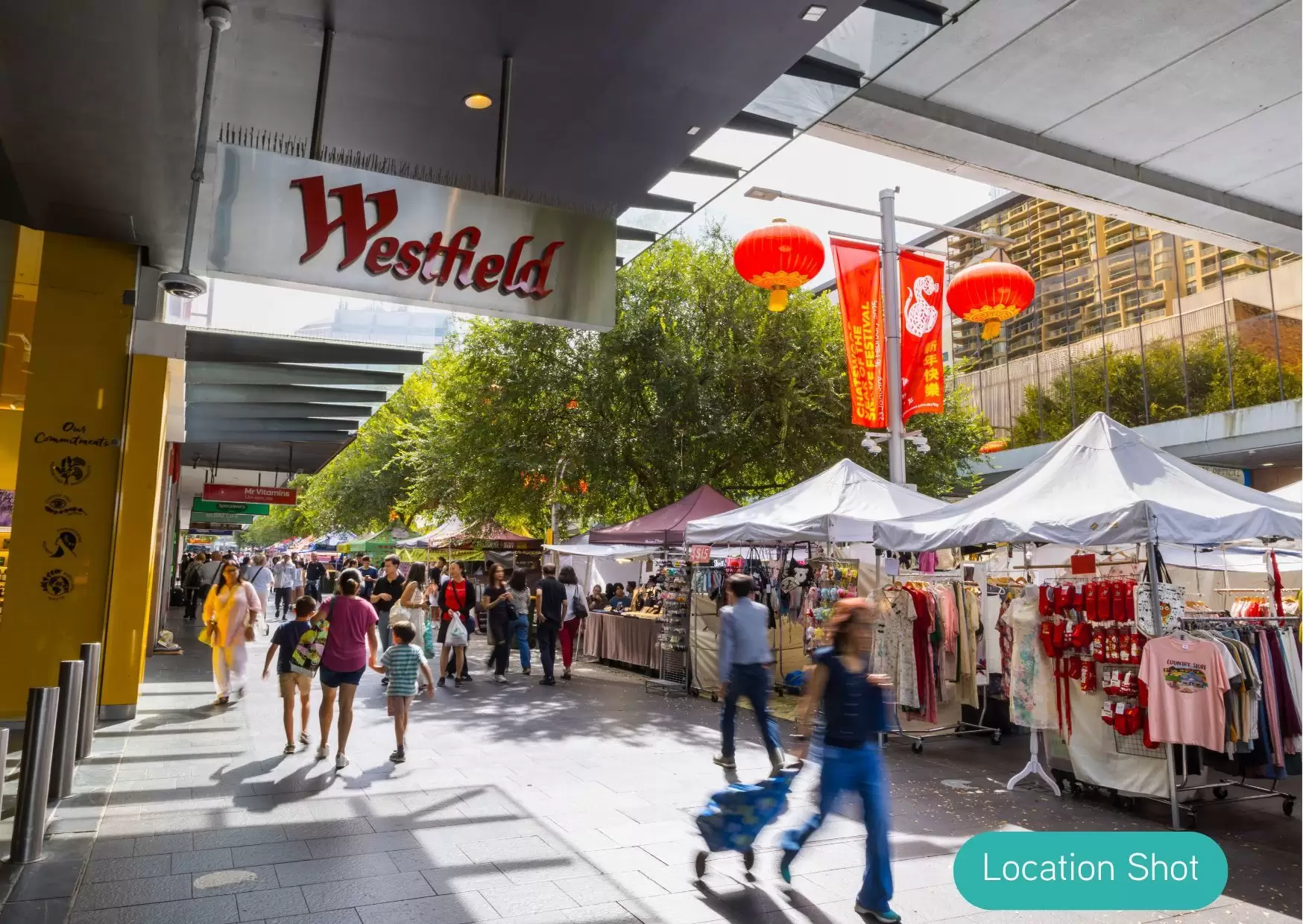 Suite 203/71-73 Archer Street, Chatswood For Lease by Shead Property - image 1