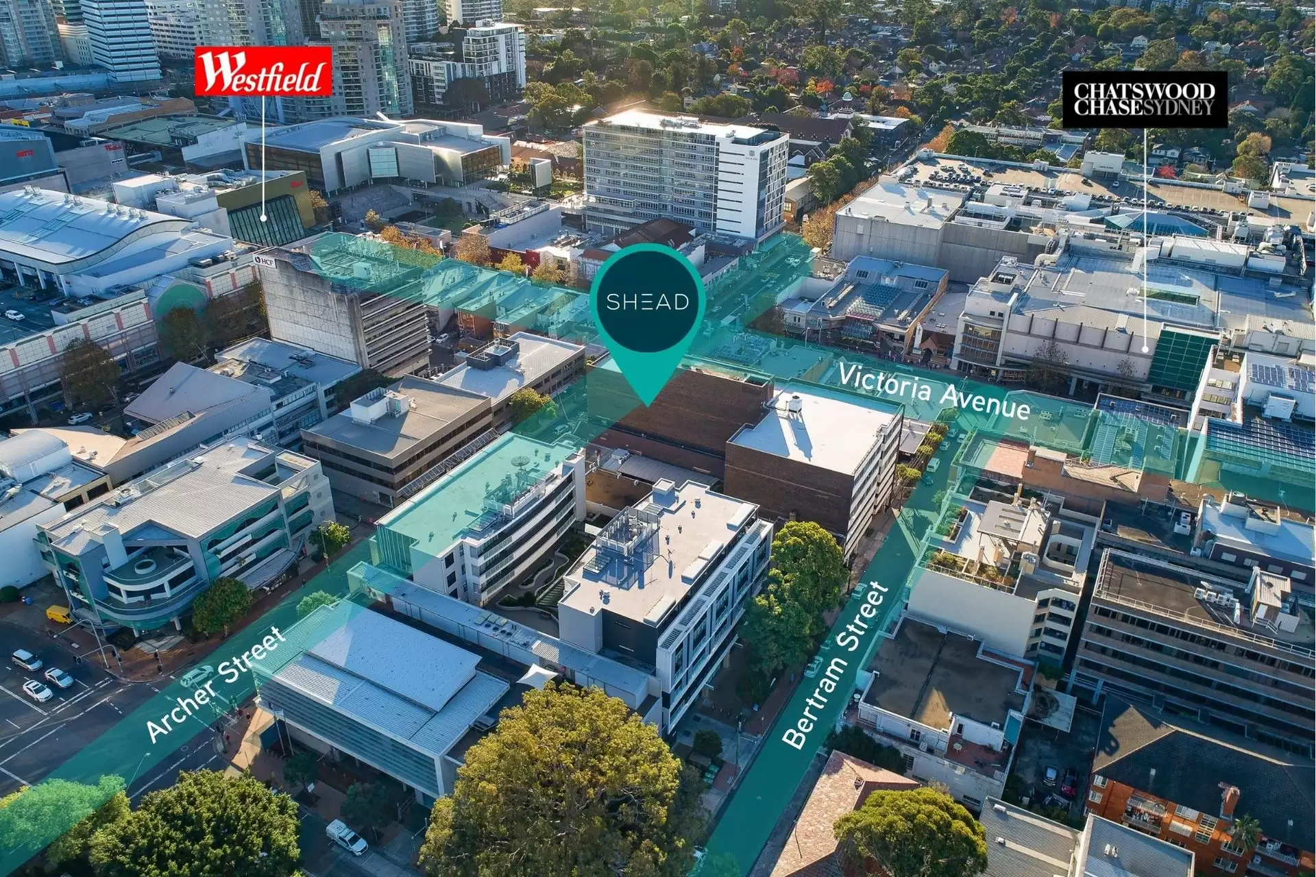 Suite 203/71-73 Archer Street, Chatswood For Lease by Shead Property - image 1