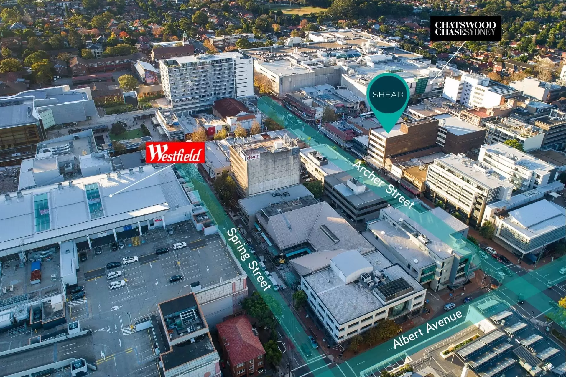 Suite 203/71-73 Archer Street, Chatswood For Lease by Shead Property - image 1