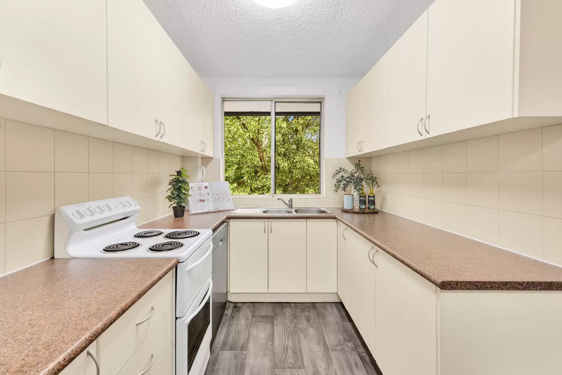 6/4 Buller Road, Artarmon Auction by Shead Property - image 1