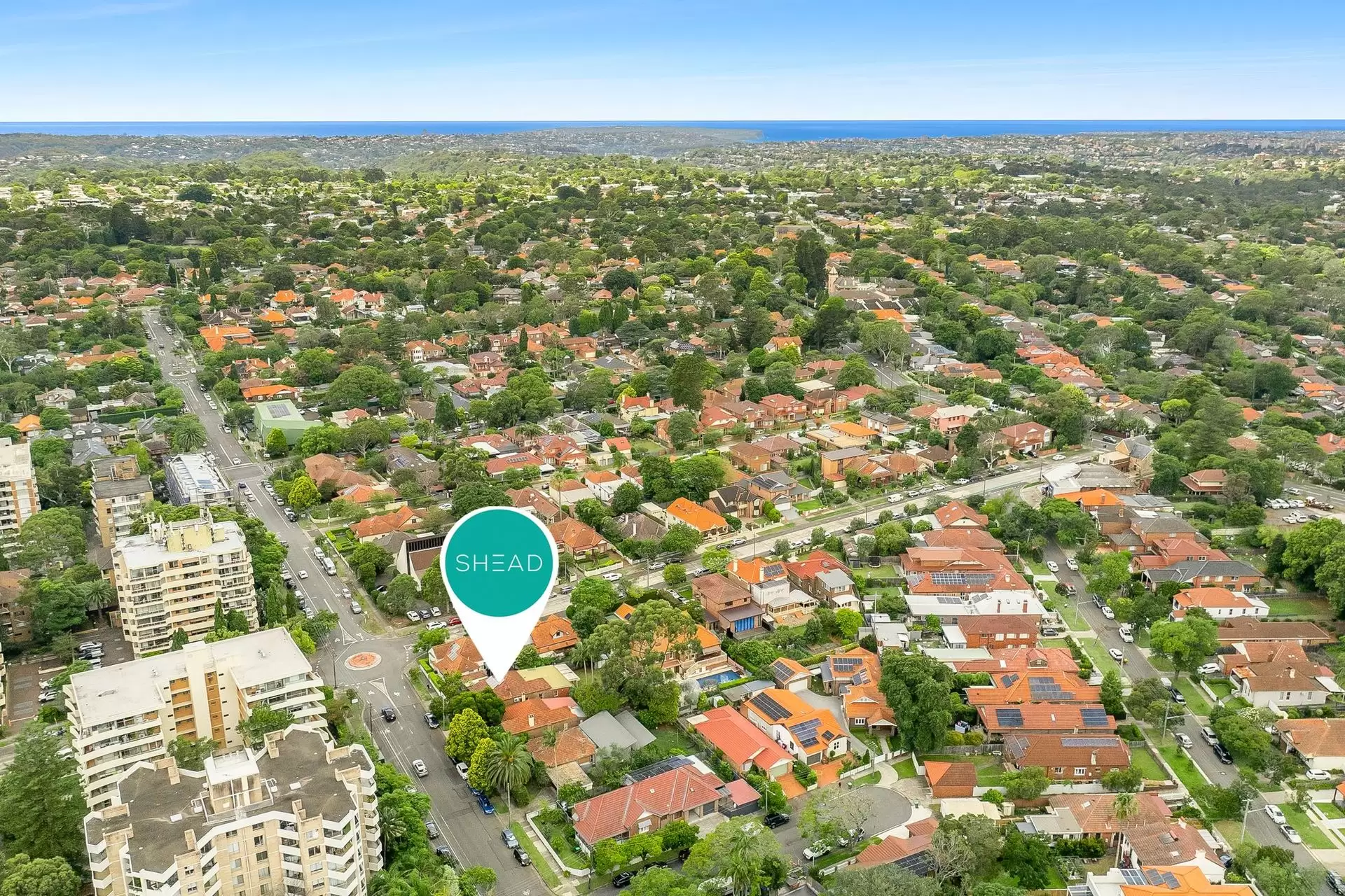 56 Johnson Street, Chatswood Auction by Shead Property - image 1