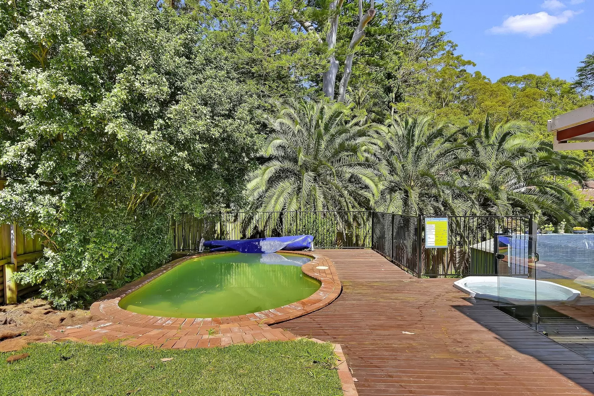 Chatswood Leased by Shead Property - image 1