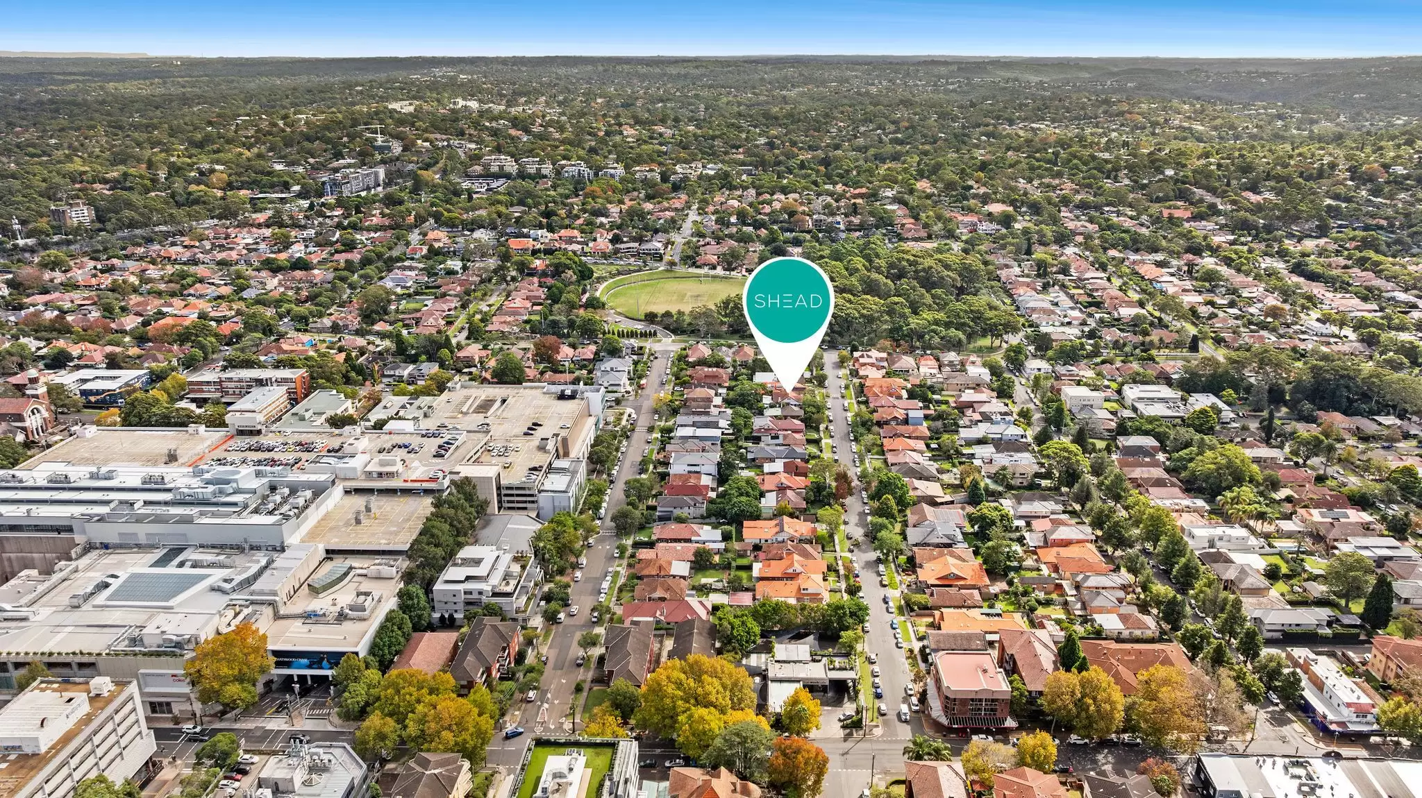 27 Blakesley Street, Chatswood For Sale by Shead Property - image 1