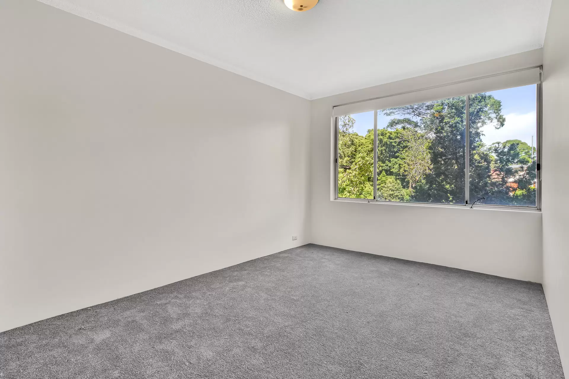 1/892 Pacific Highway, Chatswood For Lease by Shead Property - image 1