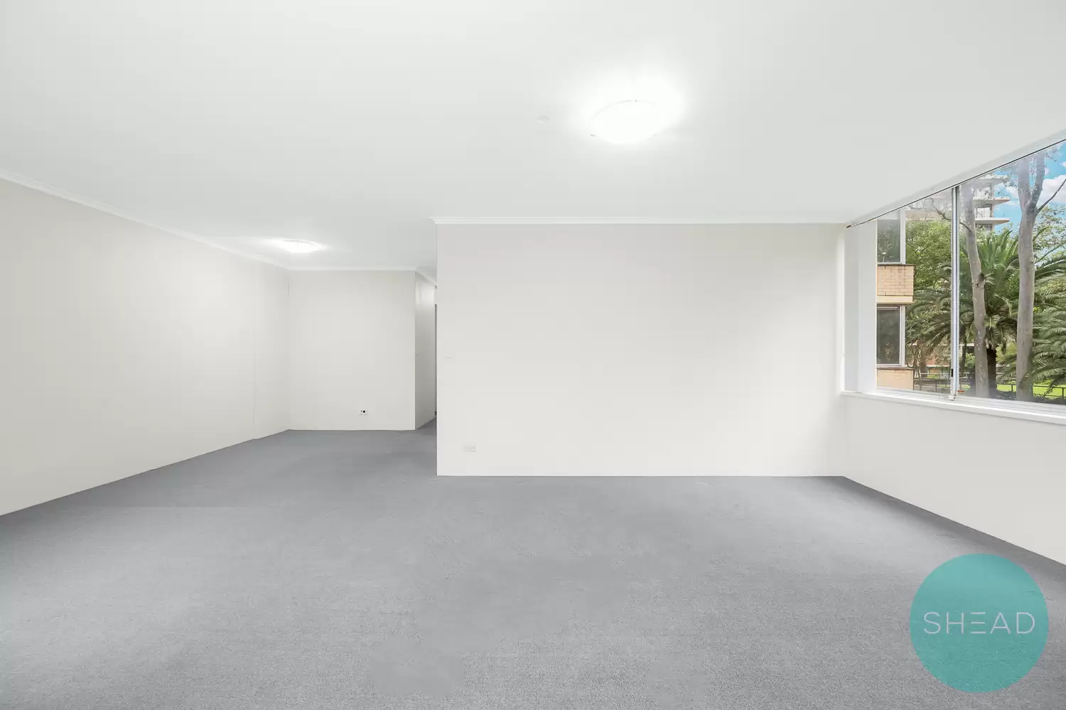 205/2 Broughton Road, Artarmon For Lease by Shead Property - image 1