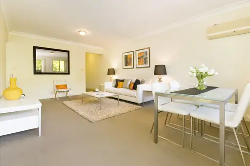 6/239 Victoria Avenue, Chatswood Sold by Shead Property