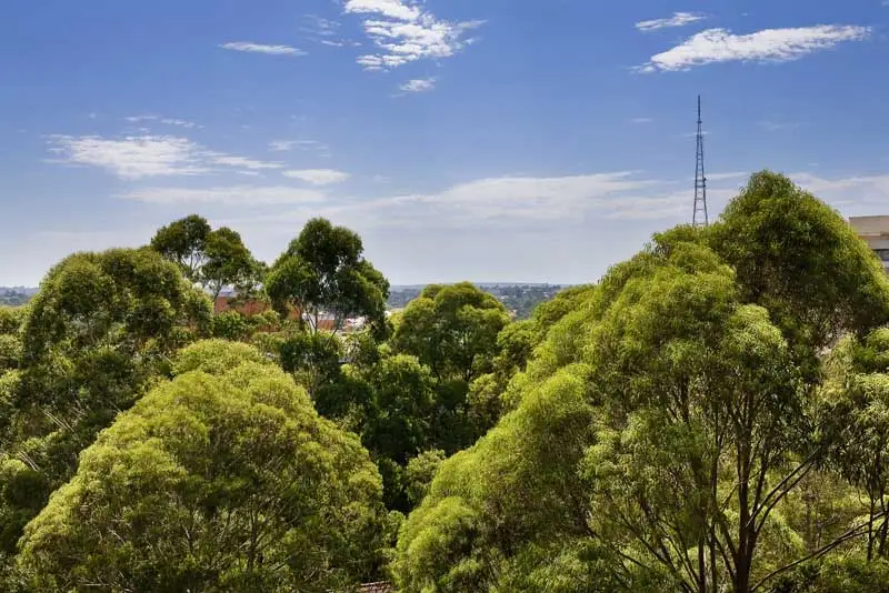 1004/4 Francis Road, Artarmon Sold by Shead Property - image 1